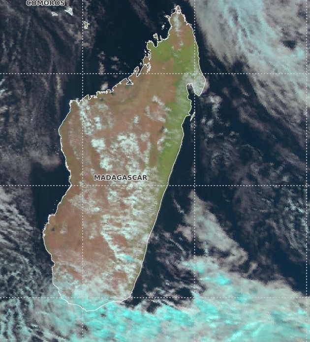 Satellite