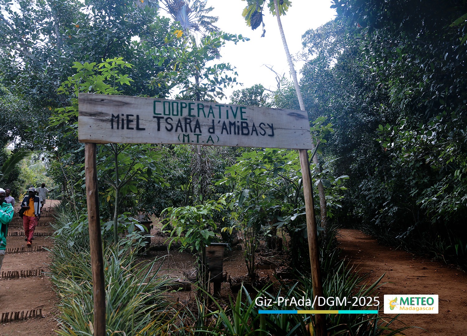 Mission sur terrain dans la région Atsimo Atsinanana | 25 au 31 Août 2025 Mission sur terrain dans la région Atsimo Atsinanana | 25 au 31 Août 2025