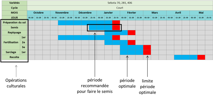 Speculation produit Speculation produit