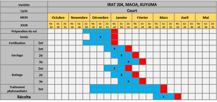 Speculation produit Speculation produit