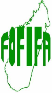 FOFIFA