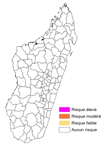 Second image