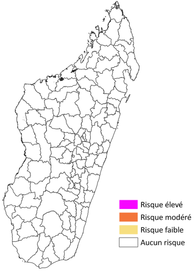 Second image