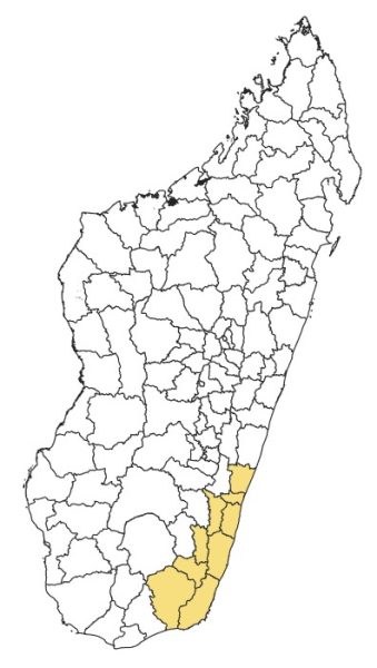 Second image